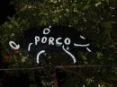 o porco Ignacio