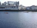 regata masculina