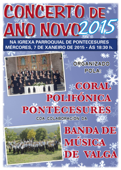 Concerto de Ano Novo 2015