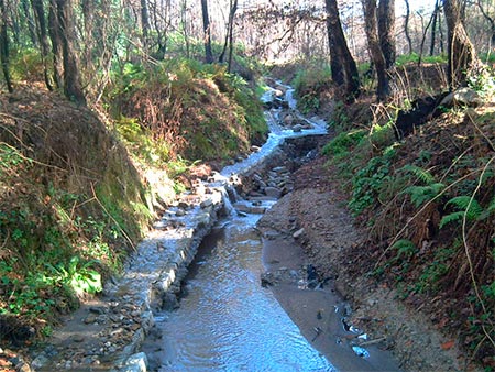 estado camiño portugues