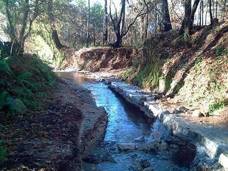 estado camiño portugues