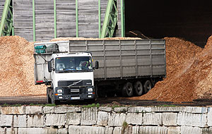 finsa_116022.jpg