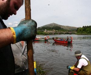 p019genn01_1.jpg