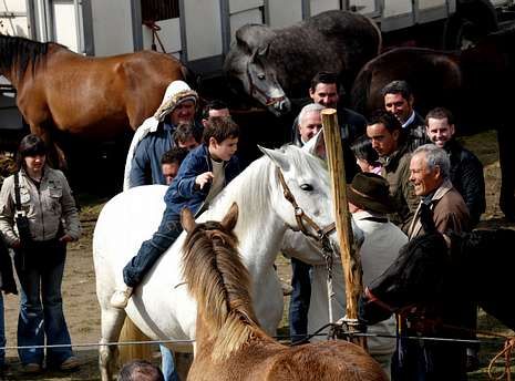 caballos