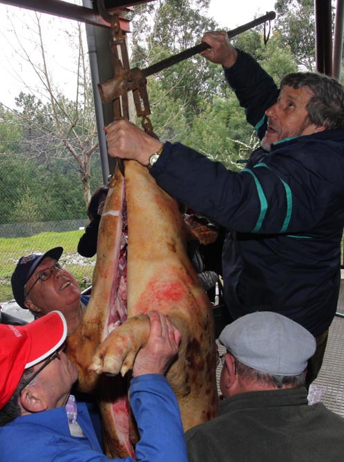 MATANZA TRADICIONAL CERDO COLEGIO FERRO COUSELO VALGA /