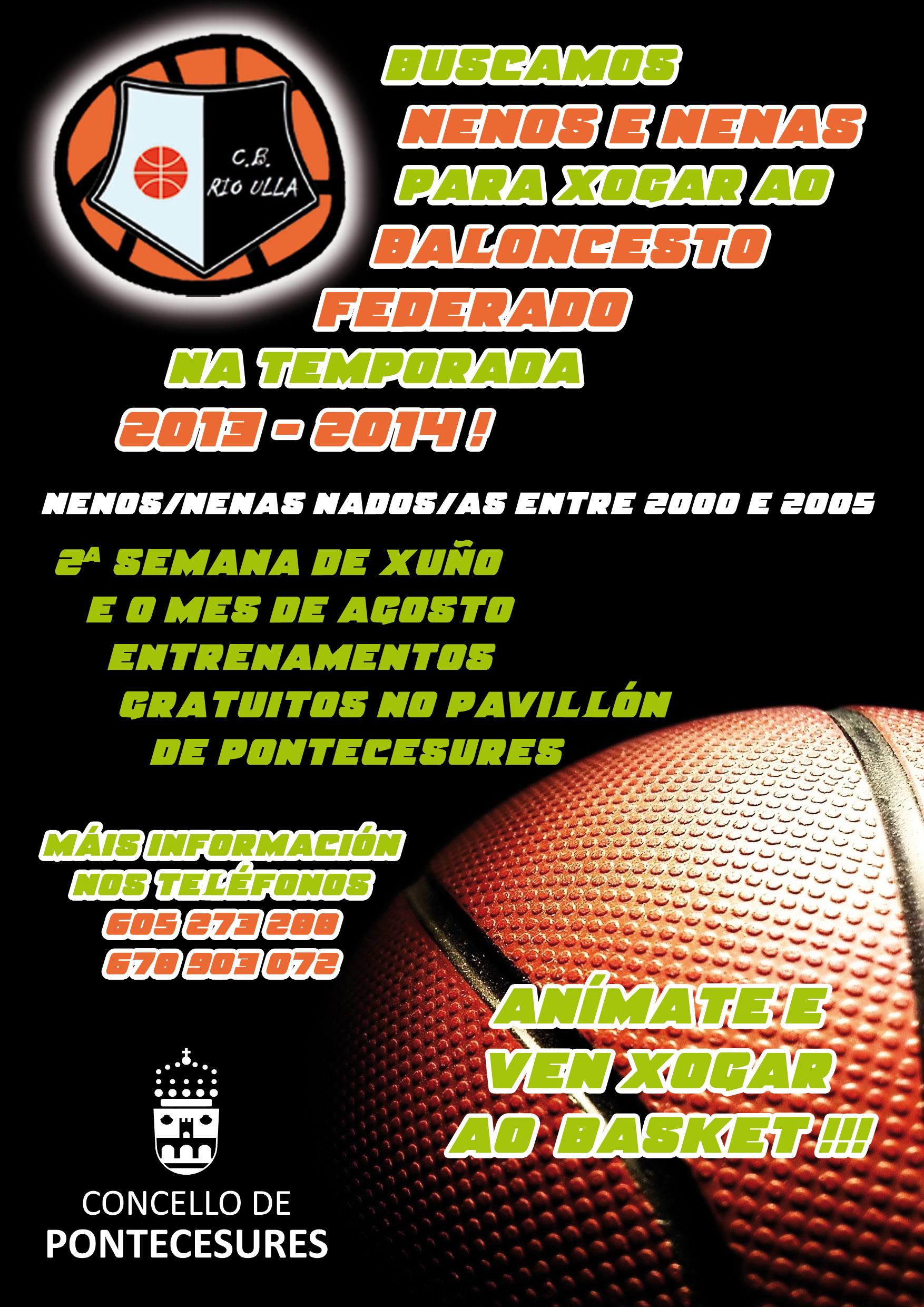 CARTEL-basket-promos-2013