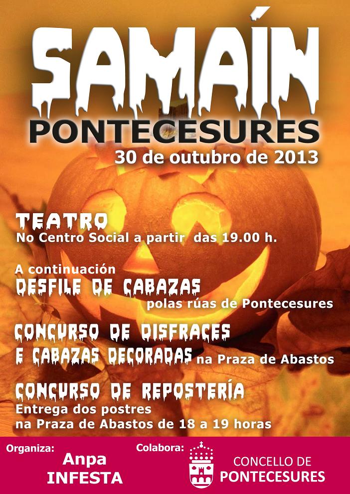 cartel SAMAIN 2013redux