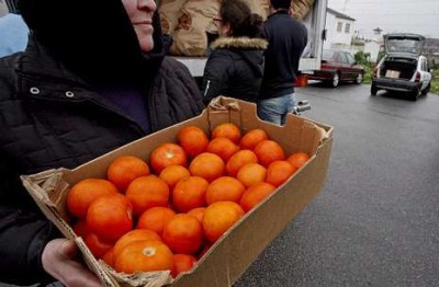 naranjas