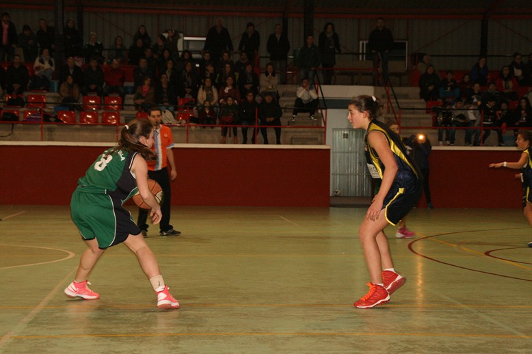 IMG_3268 (Copiar)