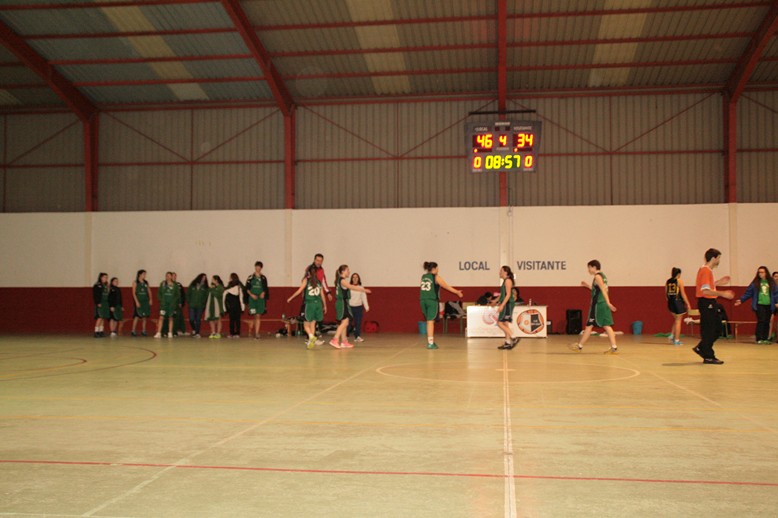 IMG_7431 (Copiar)